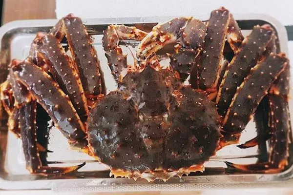 CuaKingA 4Kg+